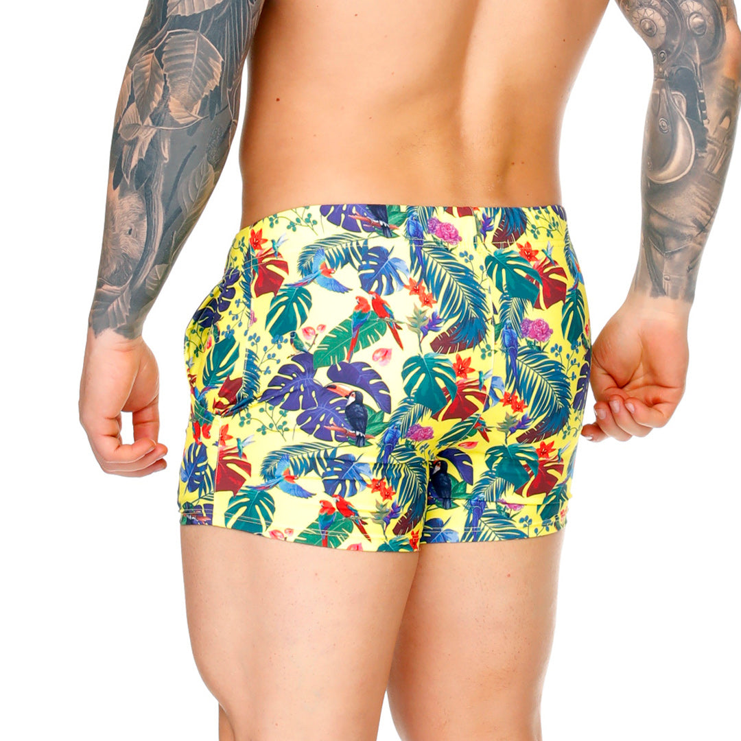 Gigo Macaws Yellow Beachwear - DealByEthan.gay loves Gigo Underwear