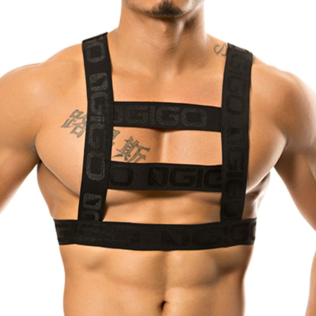 Black gigo resistless harness with bold branded lettering across the straps for secure use