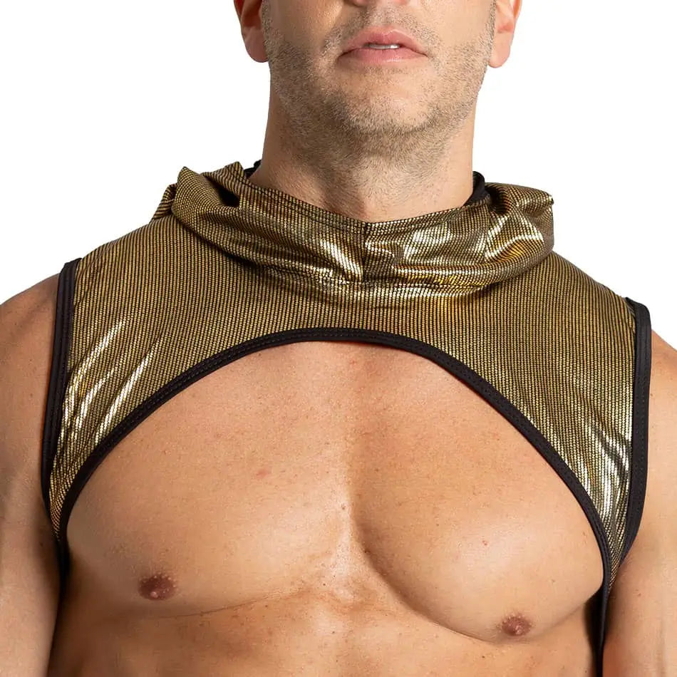 SHINESE HARNESS - Sexy golden harness for men