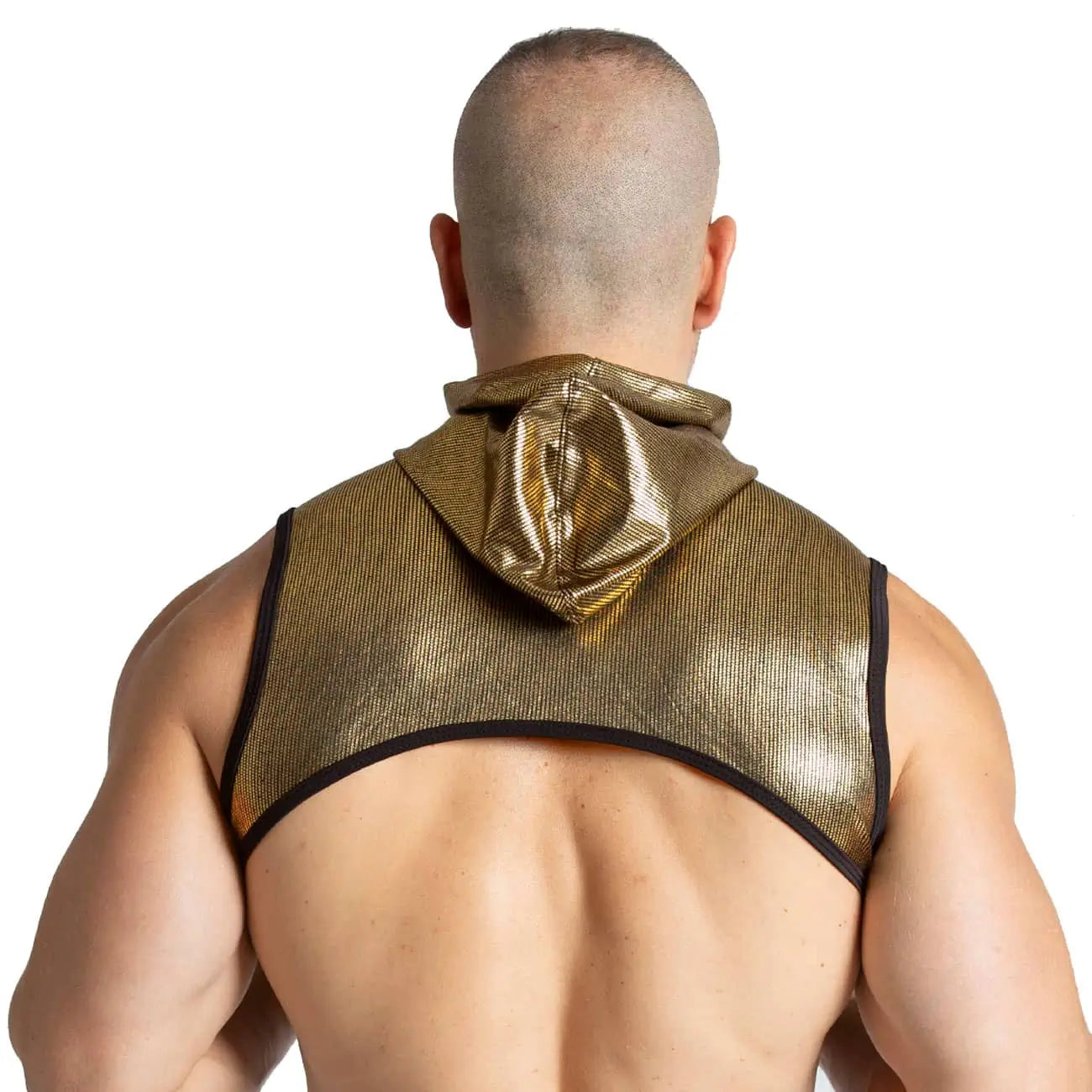 SHINESE HARNESS - Sexy golden harness for men