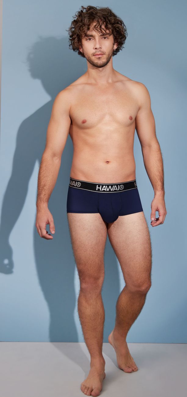 Navy blue Hawaii microfiber briefs with black elastic waistband featuring white Hawaii lettering in front view