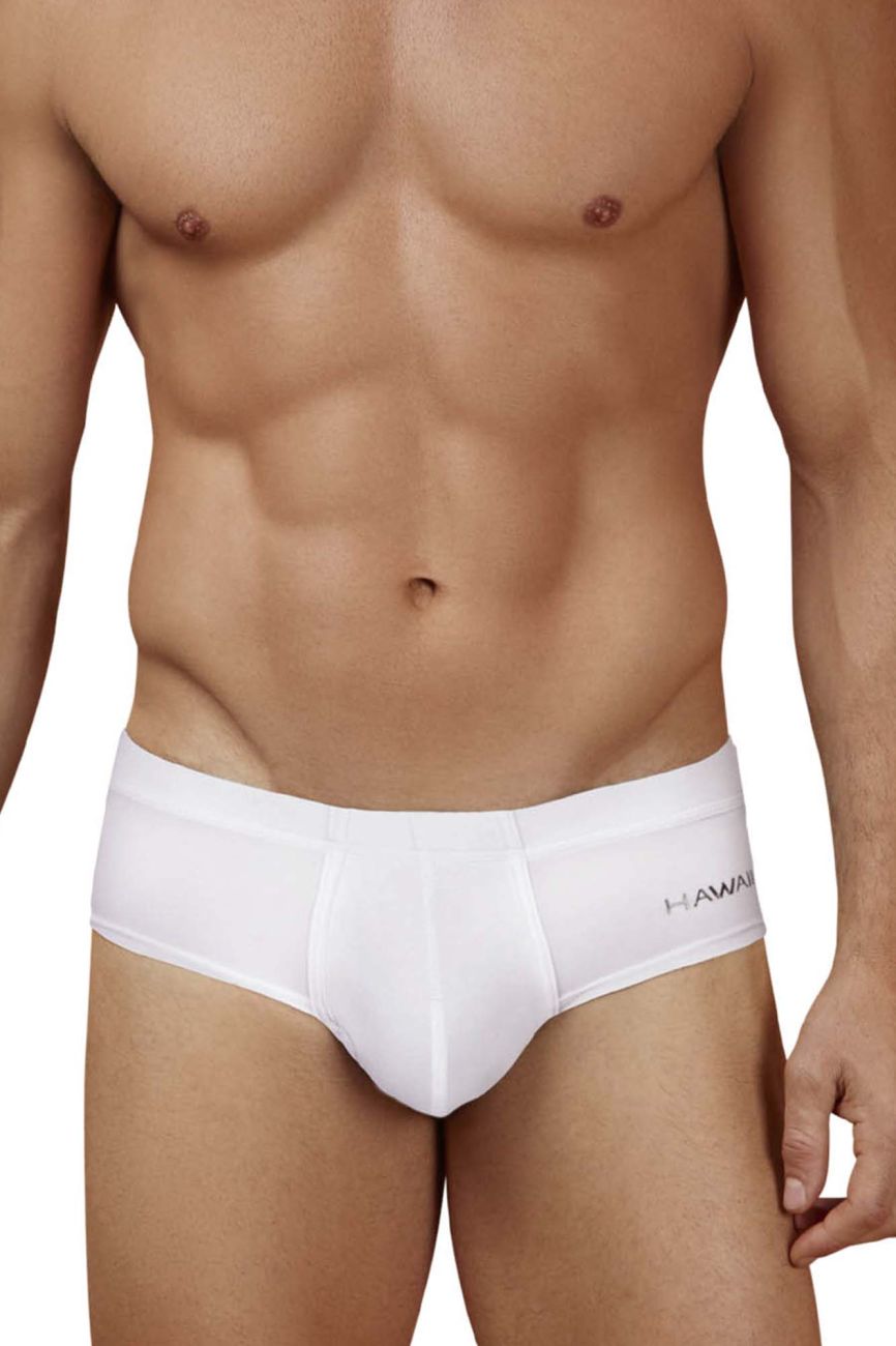 White men’s microfiber briefs with subtle hawaii logo on waistband in color white for comfortable everyday wear