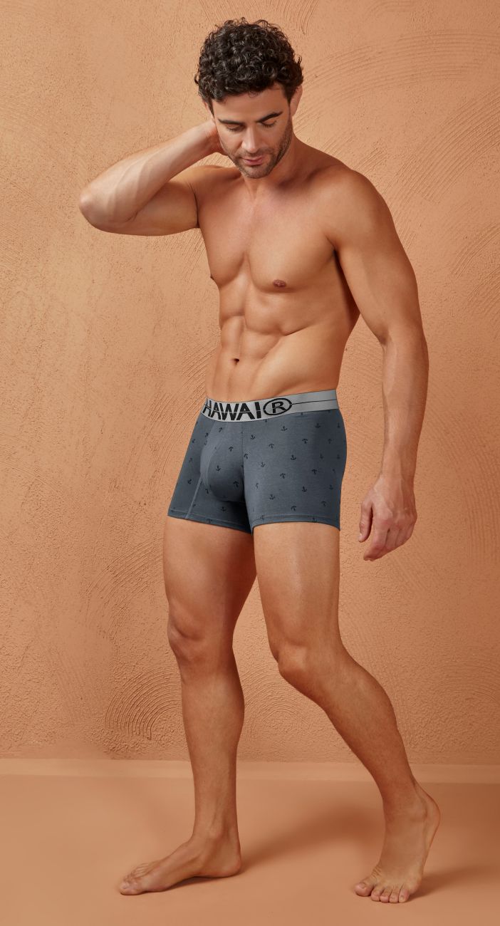 HAWAI 42521 Cotton blend Trunks Color Gray - DealByEthan.gay loves HAWAI