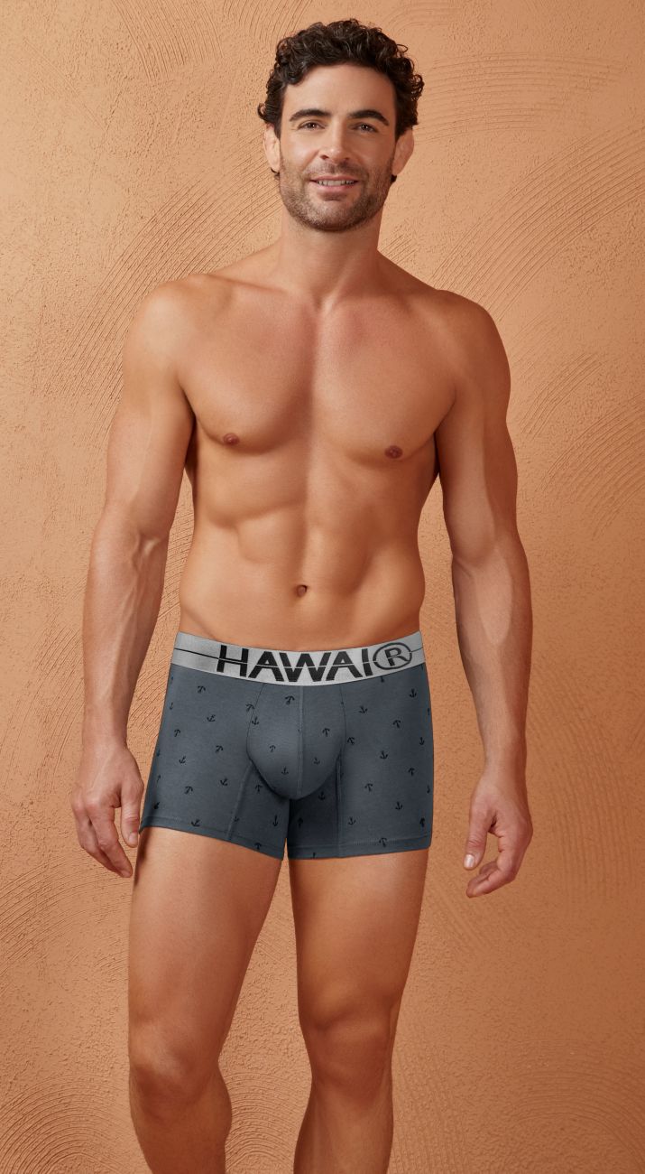 HAWAI 42521 Cotton blend Trunks Color Gray - DealByEthan.gay loves HAWAI