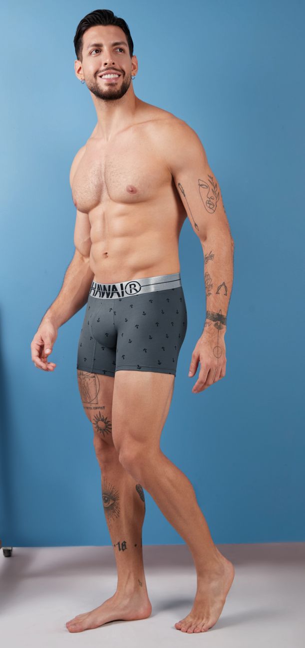 Gray hanna cotton blend boxer briefs with subtle pattern and silver waistband in hawai 42521 trunks design
