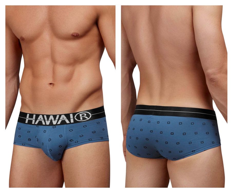 HAWAI 42531 Cotton blend Briefs Color Blue Quartz - DealByEthan.gay loves HAWAI