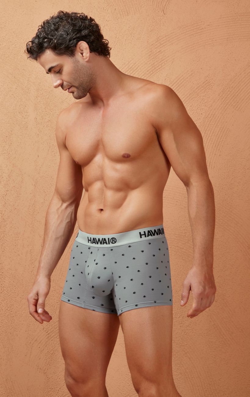 HAWAI 42571 Cotton blend Trunks Color Gray - DealByEthan.gay loves HAWAI