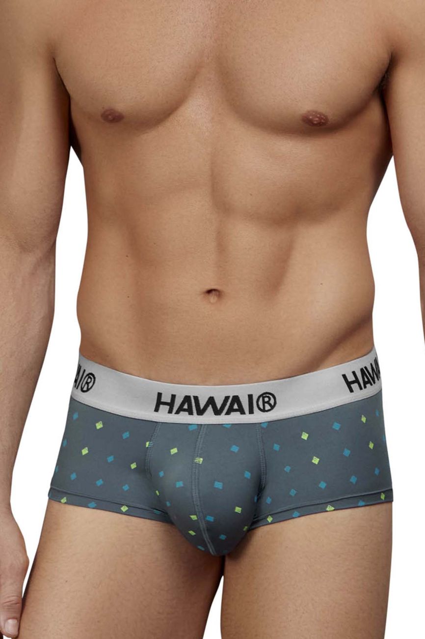 HAWAI 42580 Microfiber Briefs Color Gray - DealByEthan.gay loves HAWAI