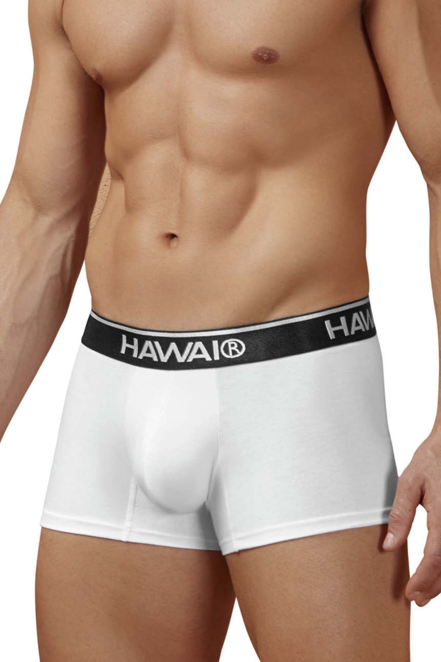 White men’s briefs with black elastic waistband featuring hawai brand name made of cotton blend trunks white 01