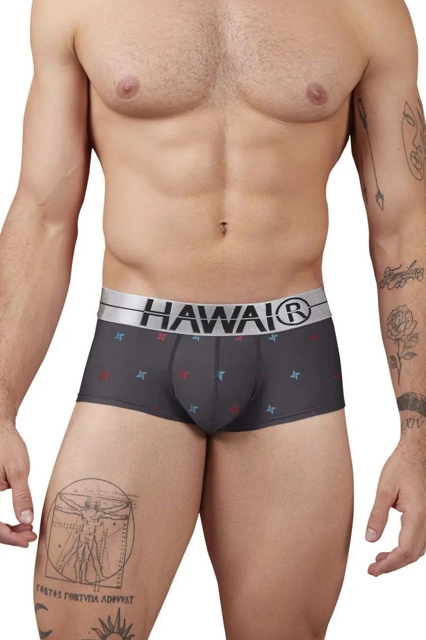 HAWAI Men's Underwear 42530 Printed Microfiber Briefs Color Gray