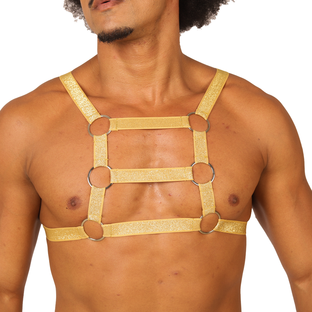 Gigo Hit Gold Harness