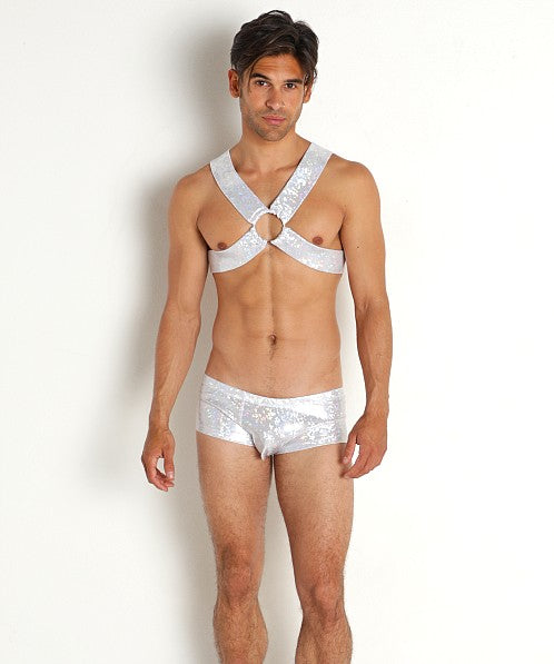 HOLOGRAM HARNESS - DealByEthan.gay loves Rick Majors