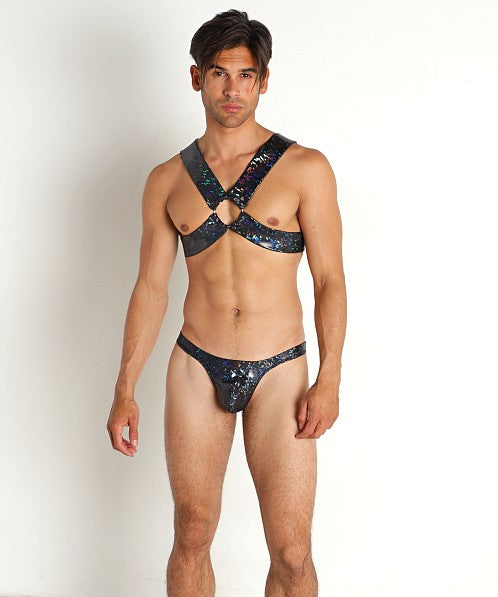 HOLOGRAM HARNESS - DealByEthan.gay loves Rick Majors
