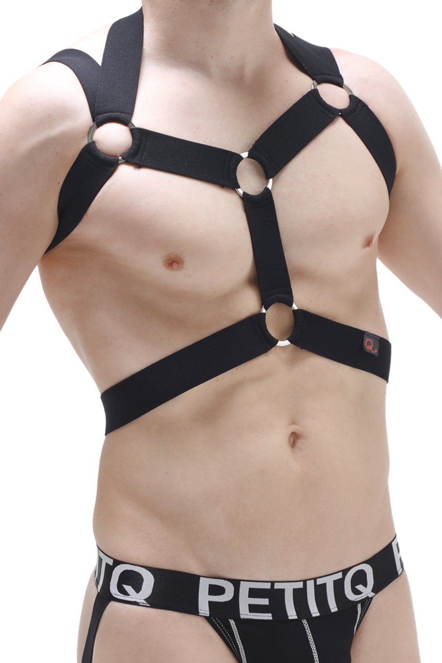 Harness Black Ancol - DealByEthan.gay loves PetitQ