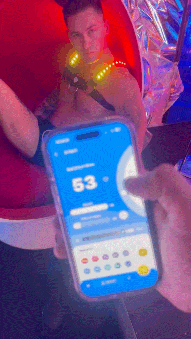 Prismaglow Bulldog Harness