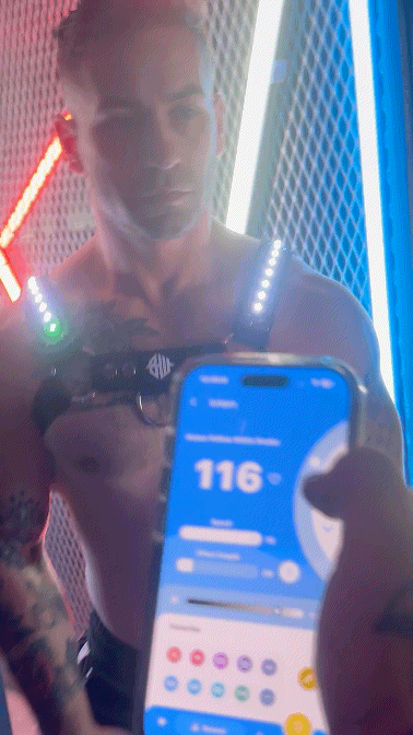 Prismaglow Bulldog Harness