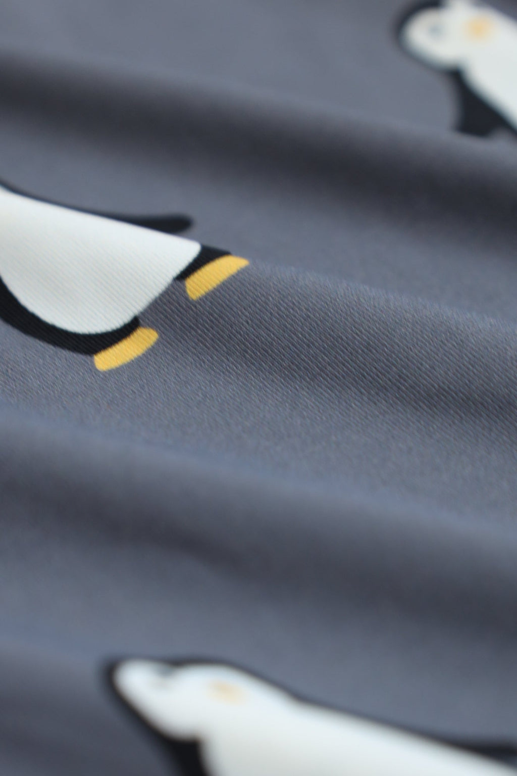 Curious Beaver Men's Boxer Briefs - Penguins