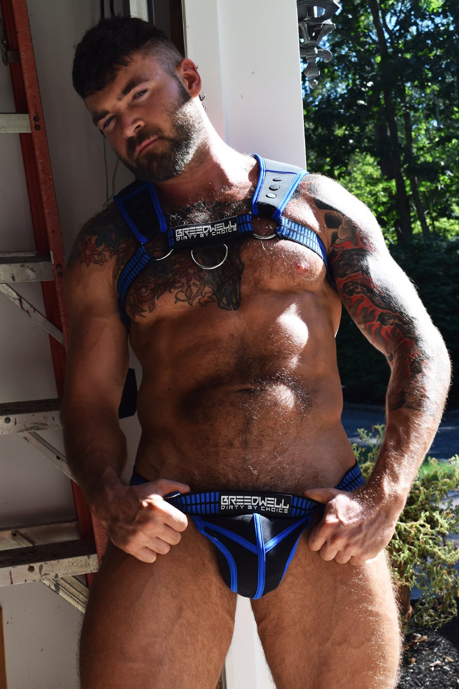 Intimidator Harness - DealByEthan.gay loves Breedwell