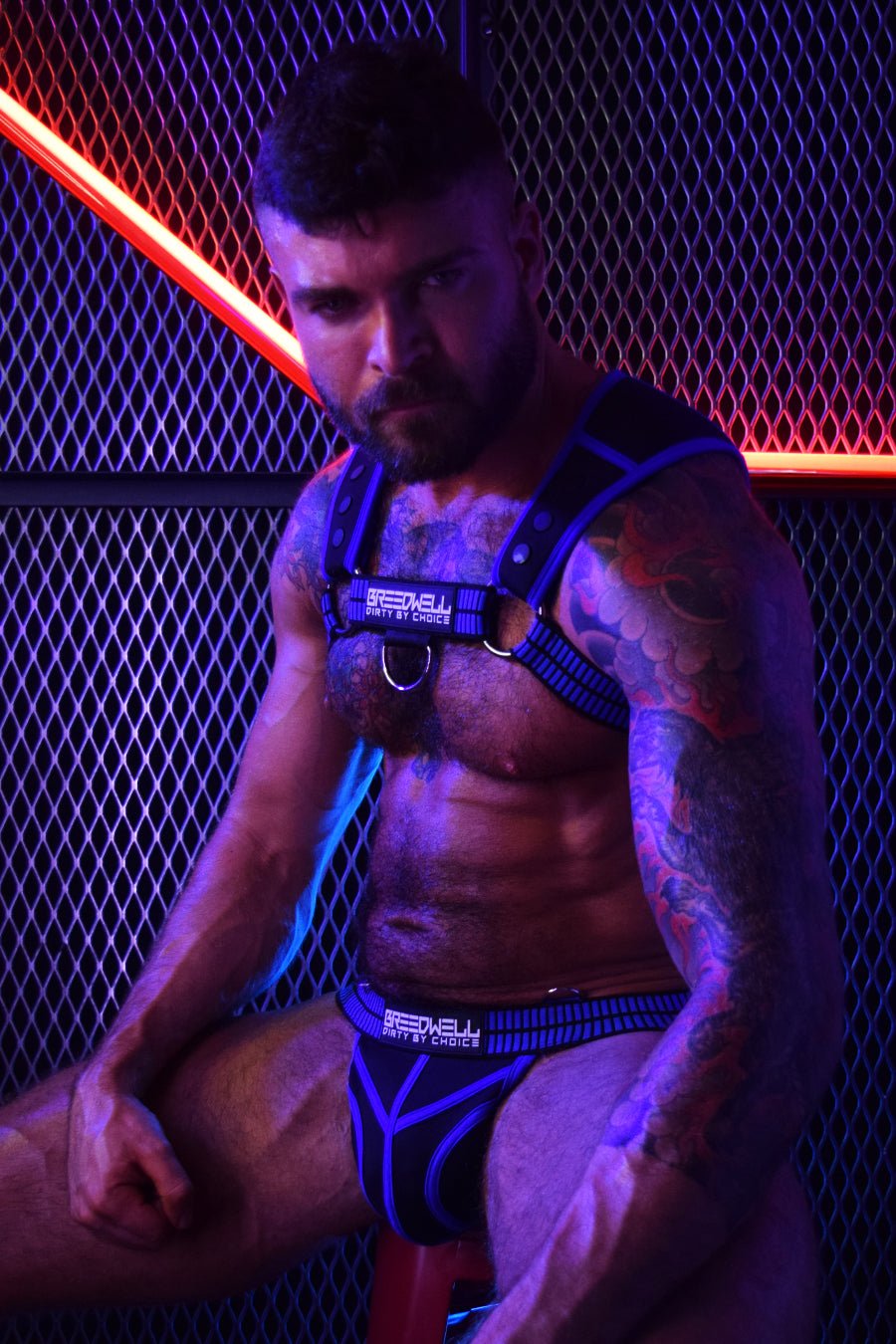 Intimidator Harness - DealByEthan.gay loves Breedwell
