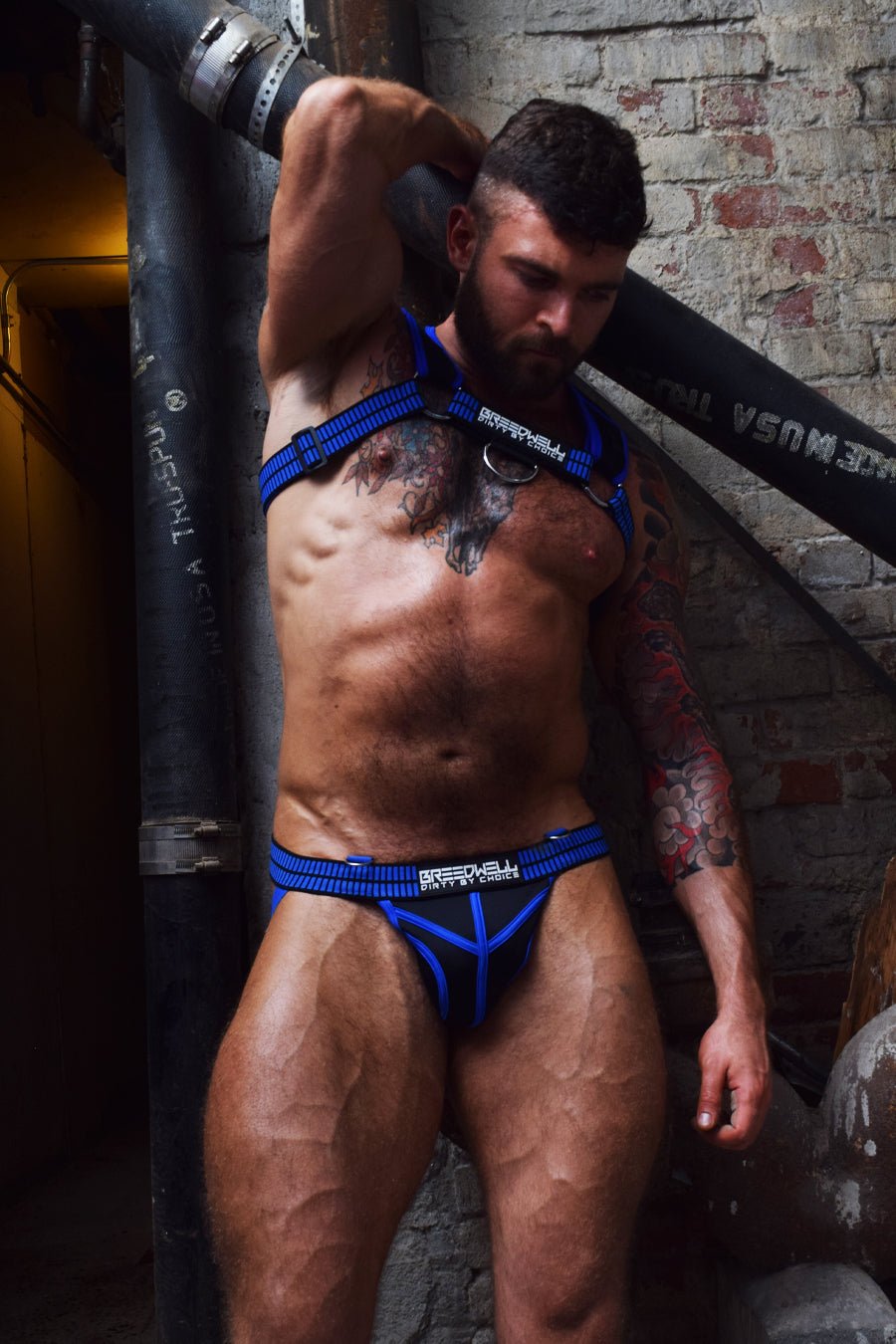 Intimidator Harness - DealByEthan.gay loves Breedwell