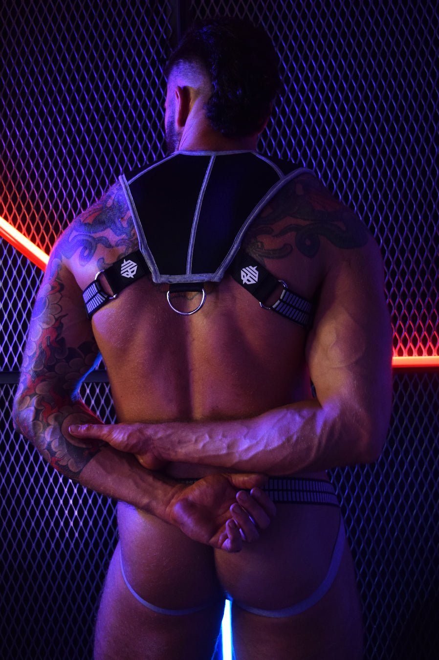 Intimidator Harness - DealByEthan.gay loves Breedwell