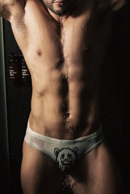 JJ Malibu Lovesick Briefs - Rawr - DealByEthan.gay loves JJ Malibu