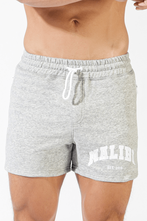 Sophomore Malibu Kurze Shorts - Grau