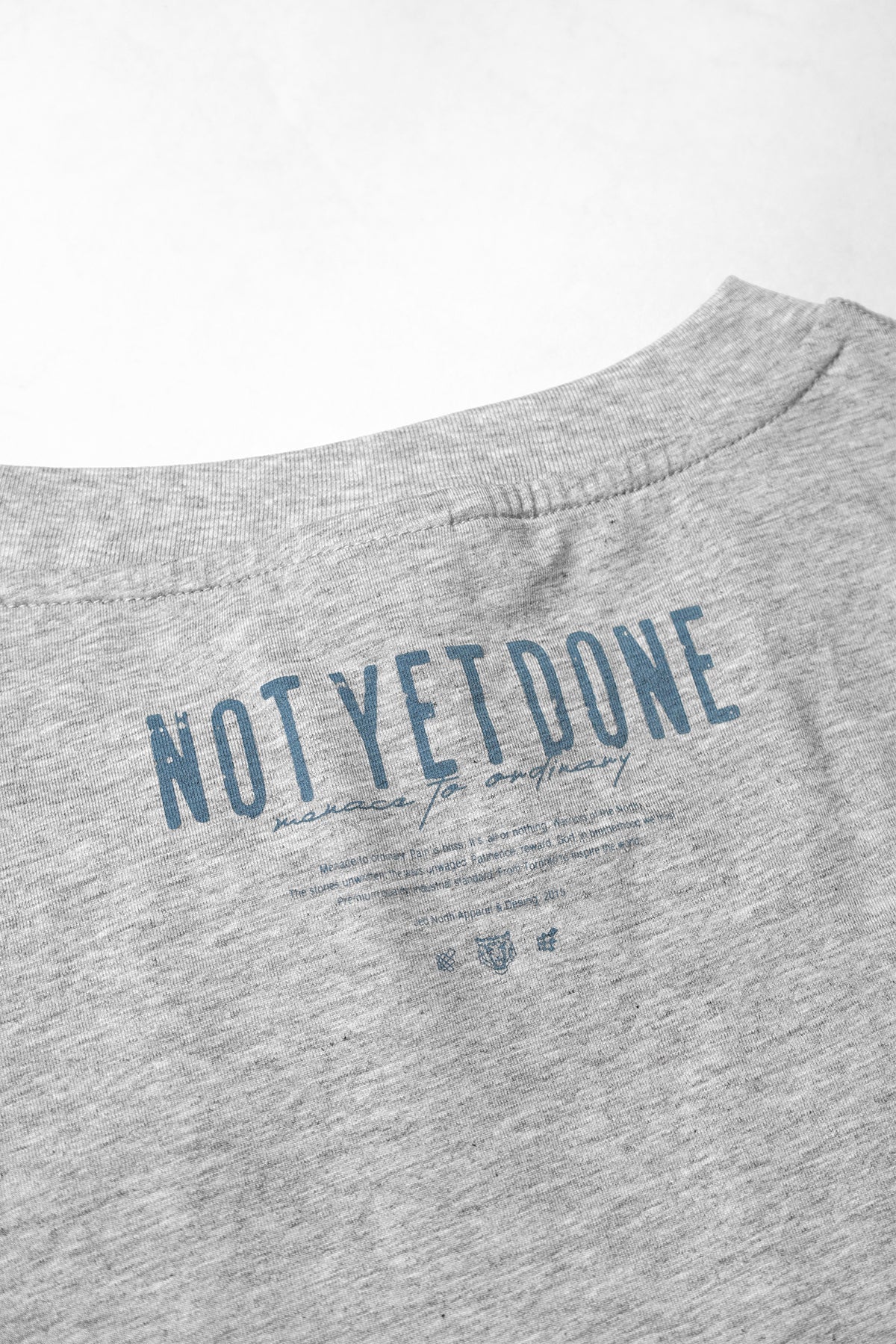 Jed North Oversized Raw-Cut Cropped Tee – Heather Grey
