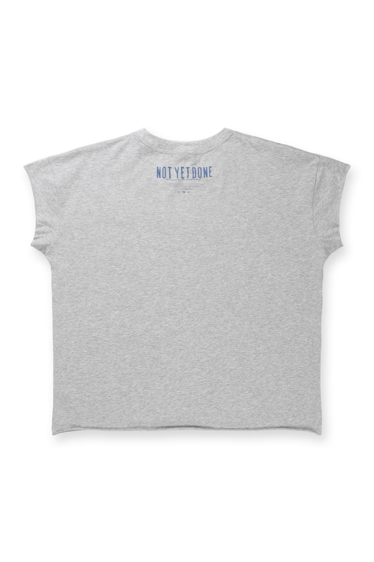 Jed North Oversized Raw-Cut Cropped Tee – Heather Grey
