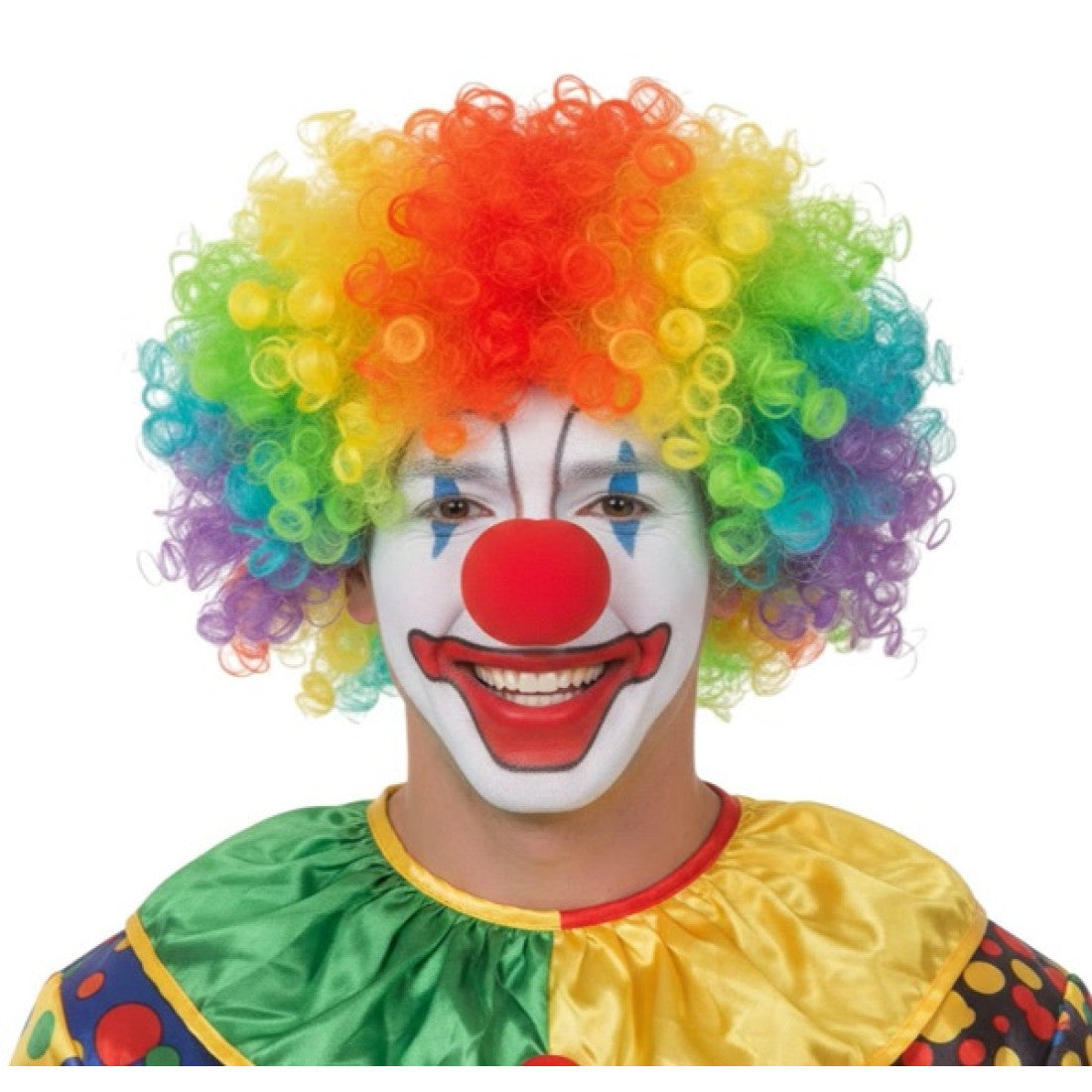 KBW Global Rainbow Clown Wig - Rainbow