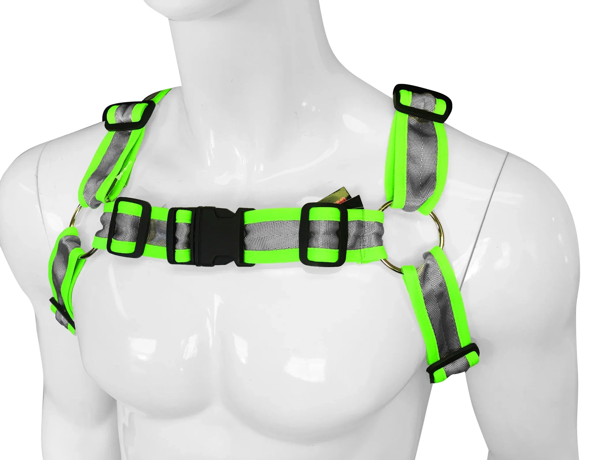 BUCKLE HARNESS