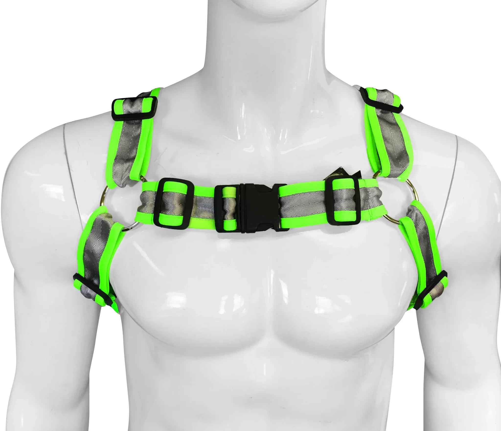 BUCKLE HARNESS