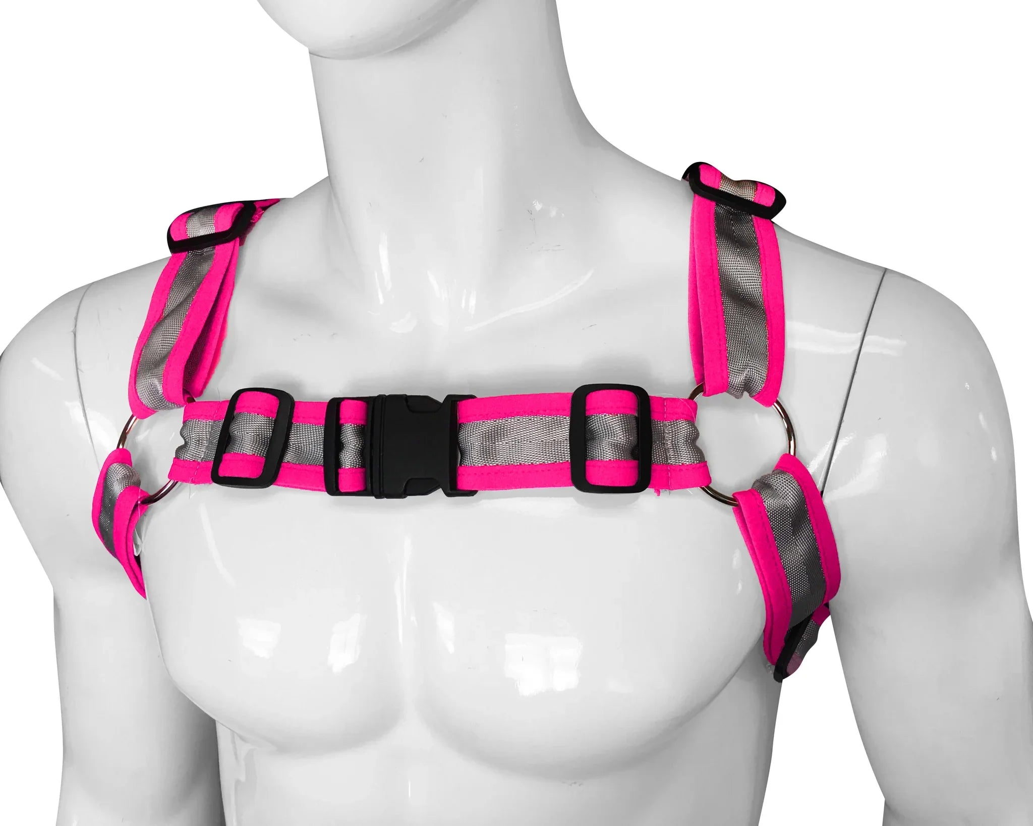 BUCKLE HARNESS