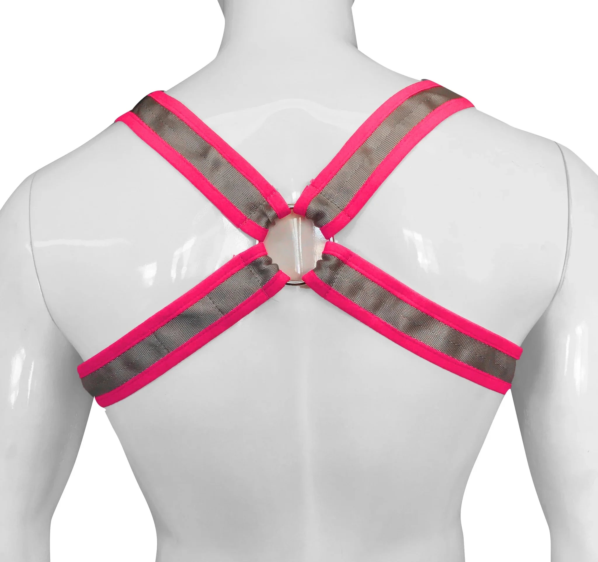 BUCKLE HARNESS