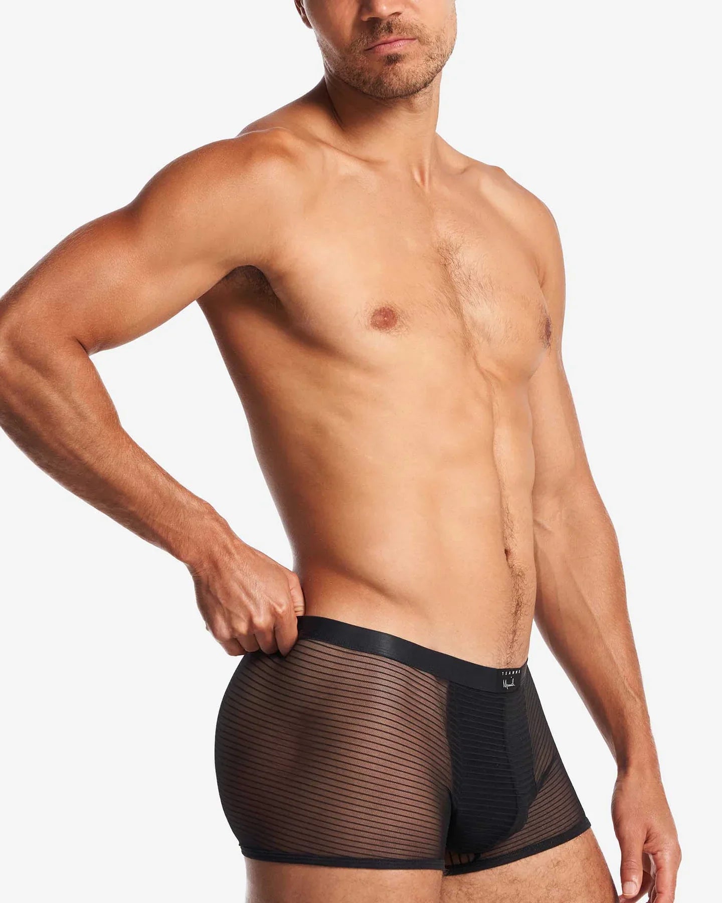 MANUEL SHEER TRUNK - DealByEthan.gay loves Teamm8