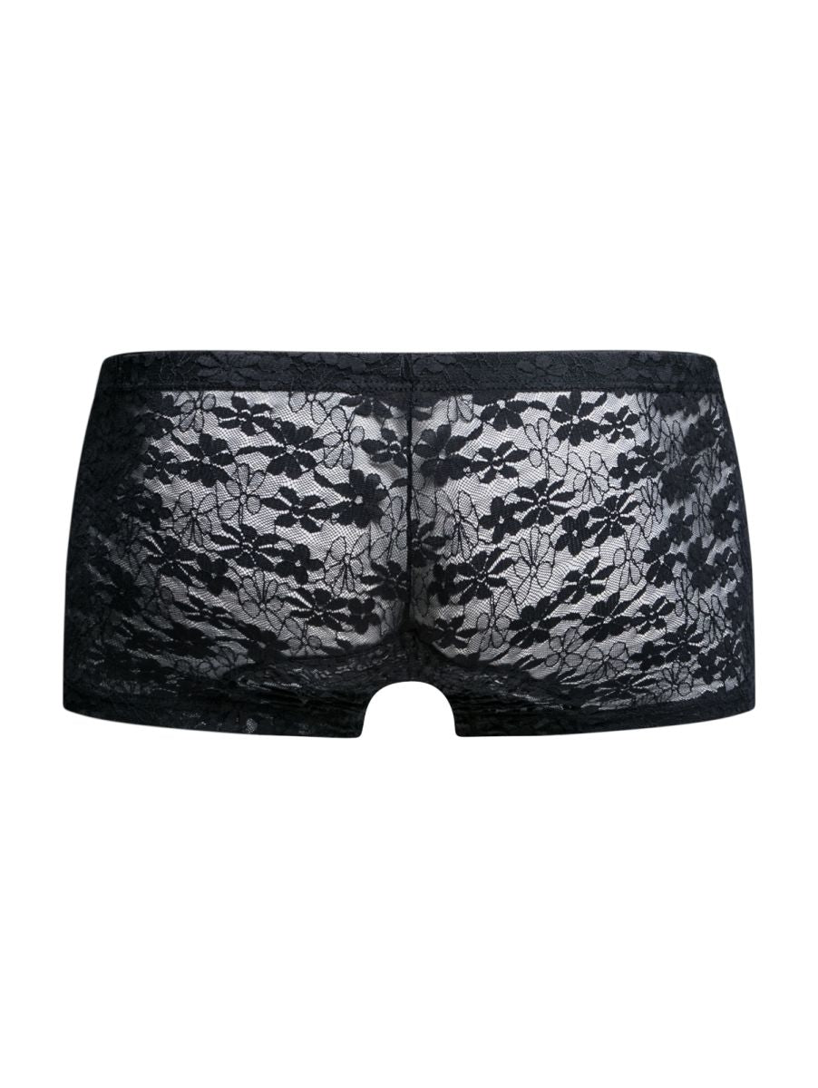 Malebasics mbl78 lace trunks in black featuring sheer delicate floral lace underwear design