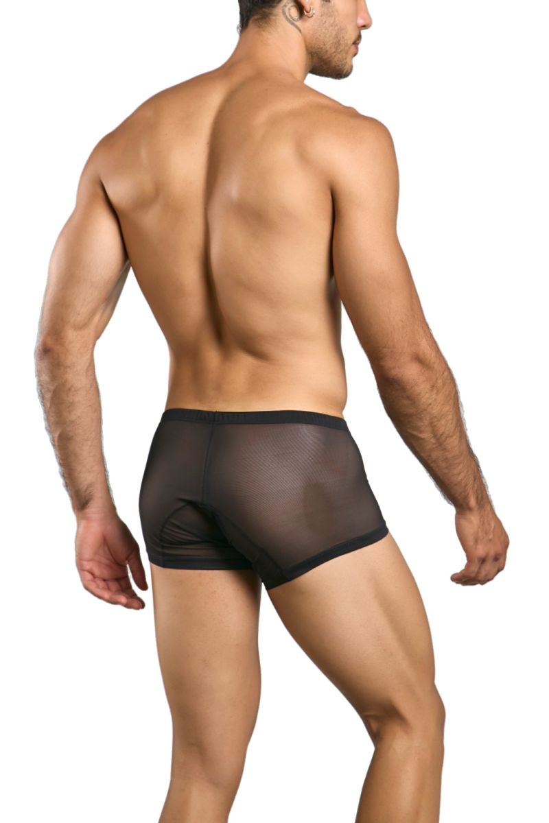 Black sheer mesh briefs with solid black waistband from malebasics mbl78 lace trunks color black mesh
