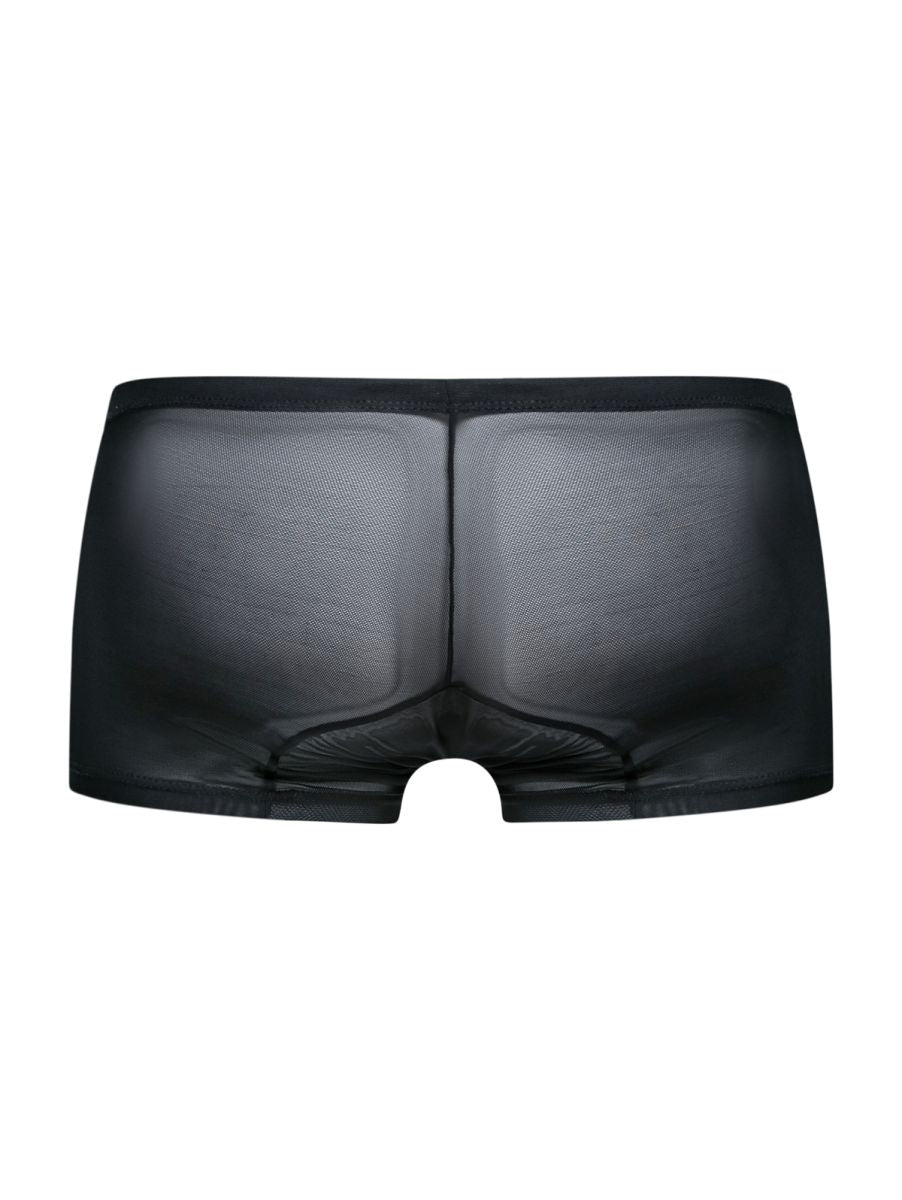 Malebasics mbl78 lace trunks in black sheer mesh briefs with a smooth form fitting design shown from the back side