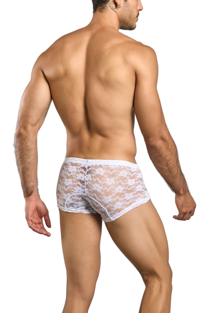 White lace briefs malebasics mbl78 lace trunks with floral pattern and solid white waistband front view