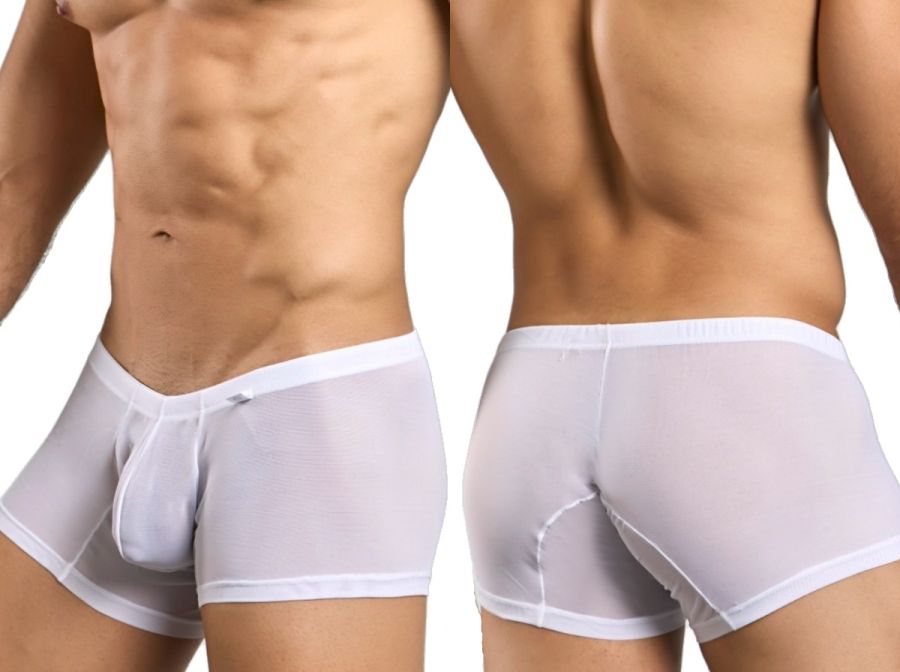Malebasics mbl78 lace trunks in white mesh with sheer fabric and solid white waistband and trim for men