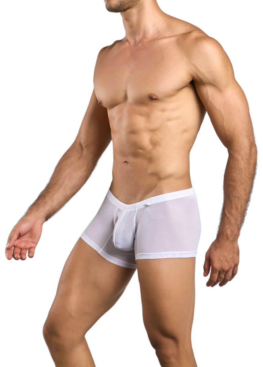 Malebasics mbl78 lace trunks white sheer mesh briefs with solid white waistband front view
