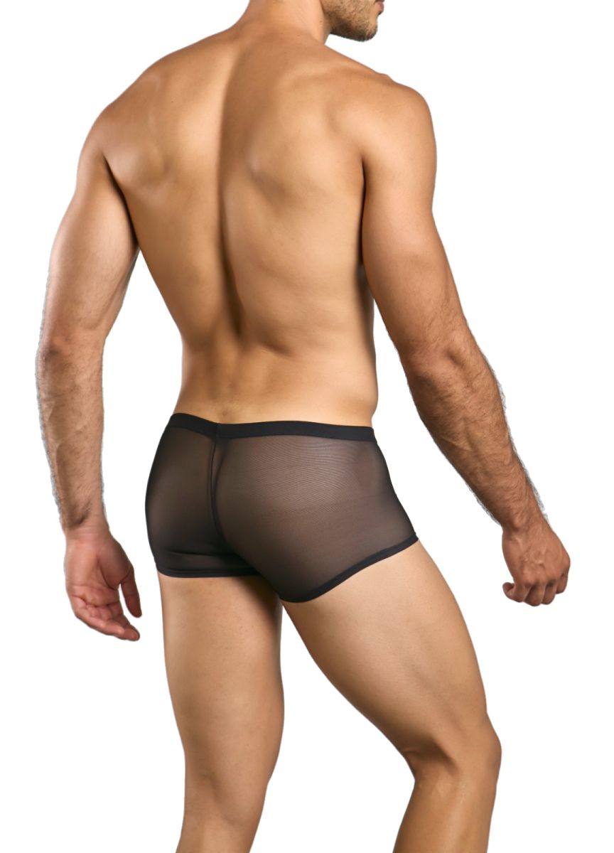 Malebasics mbl84 classic pouch trunks in black mesh sheer briefs with solid black waistband front view