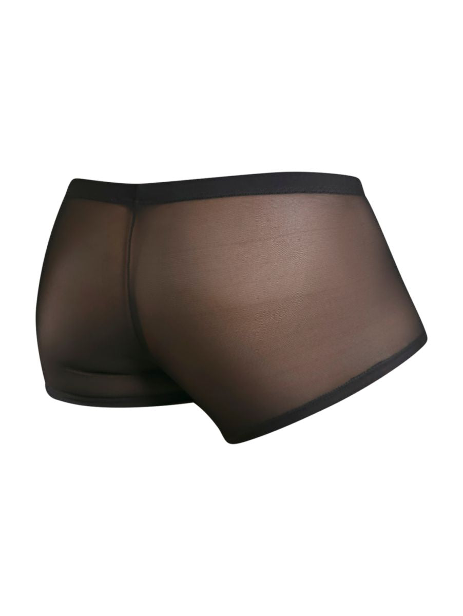 Malebasics mbl84 classic pouch trunks in black sheer mesh with a solid black waistband shown from the back side