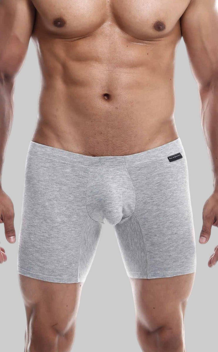 Gray heathered men’s boxer briefs with contoured pouch and elastic waistband by malebasics silver plus