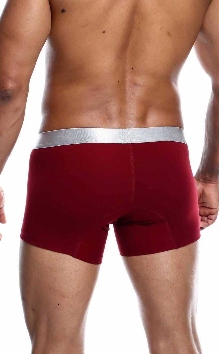Red boxer briefs with a silver waistband made of pima cotton from malebasics trunk collection