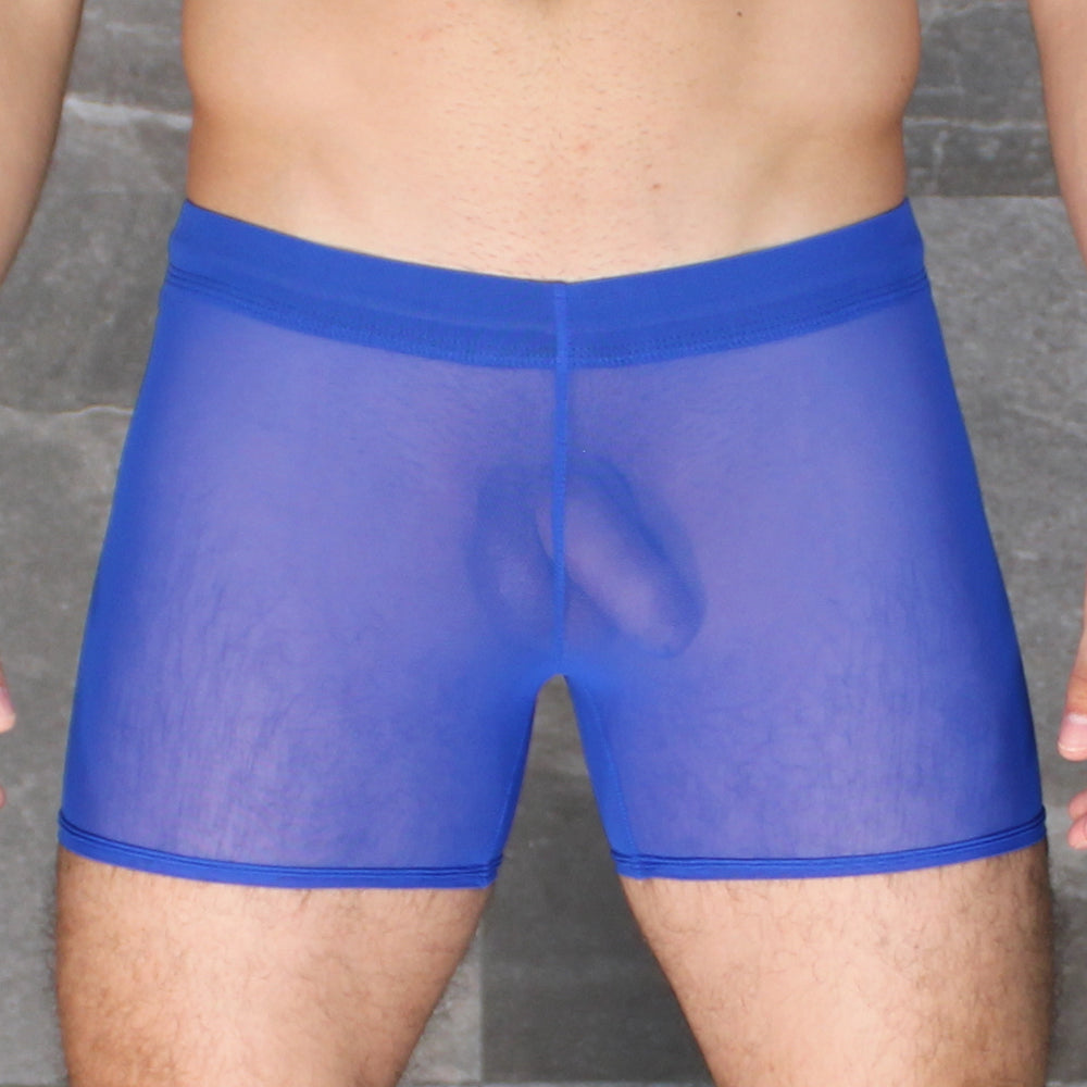 Blue sheer mesh briefs with a solid blue waistband from mckillop daus tackle shorts ultra mesh collection