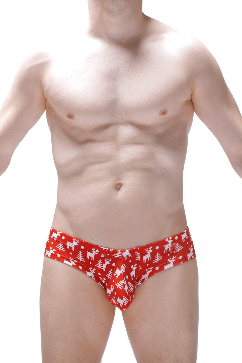 Mini Boxer Joyeux Noel - DealByEthan.gay loves PetitQ