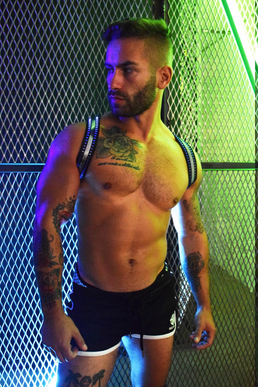 Mirror Glow Shoulder Harness - DealByEthan.gay loves Breedwell