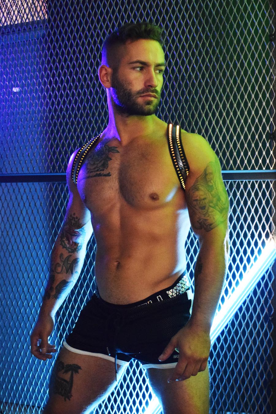 Mirror Glow Shoulder Harness - DealByEthan.gay loves Breedwell
