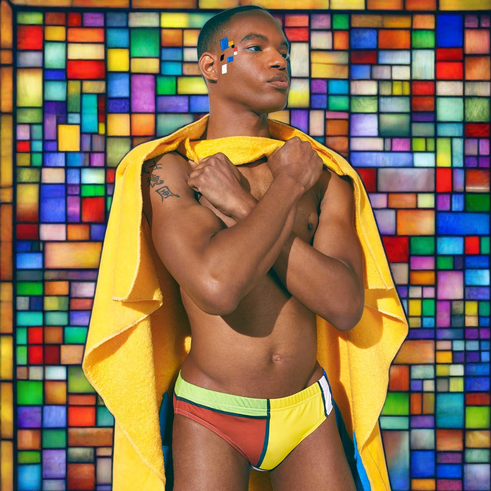 Maris Equi ModRian Men's Mondrian Inspired Swim Briefs